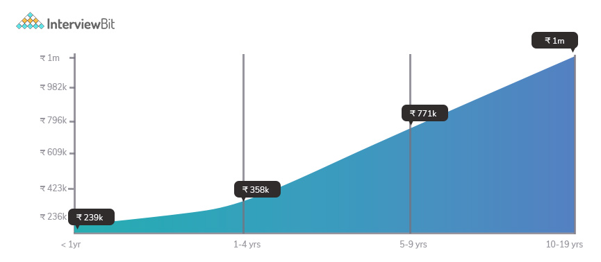 .net developer salary graph by experience