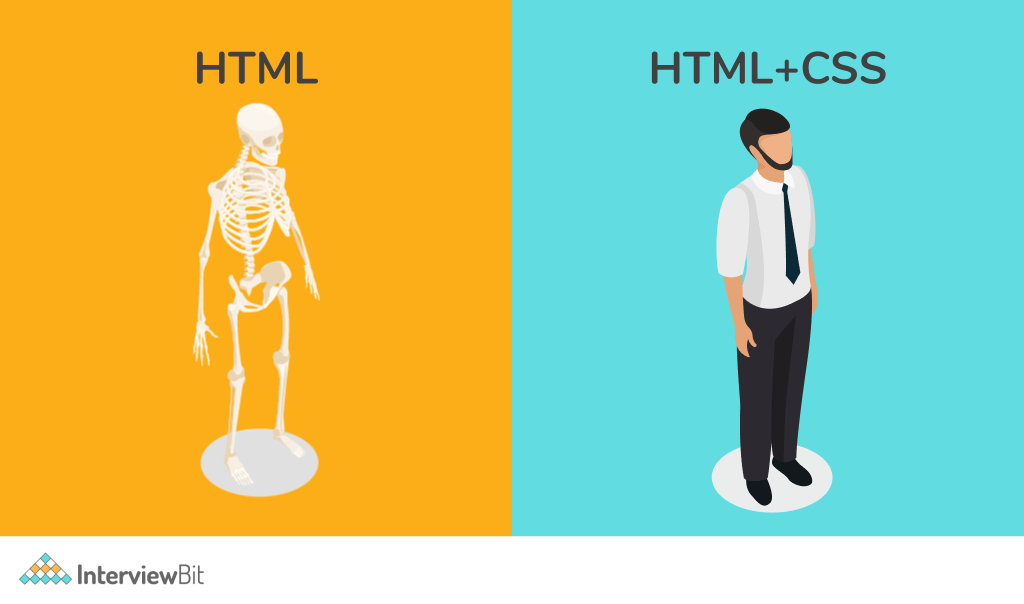 Difference Between Html And Css With Example - www.vrogue.co