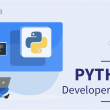 Python Developer Resume