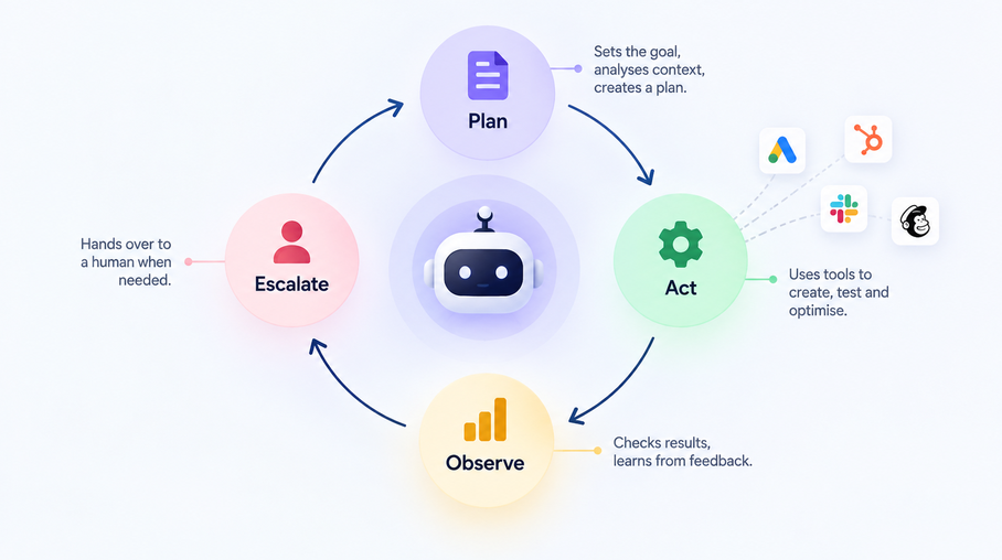 Diagram of an AI marketing agent loop showing planning, tool use, observation and escalation to a human.