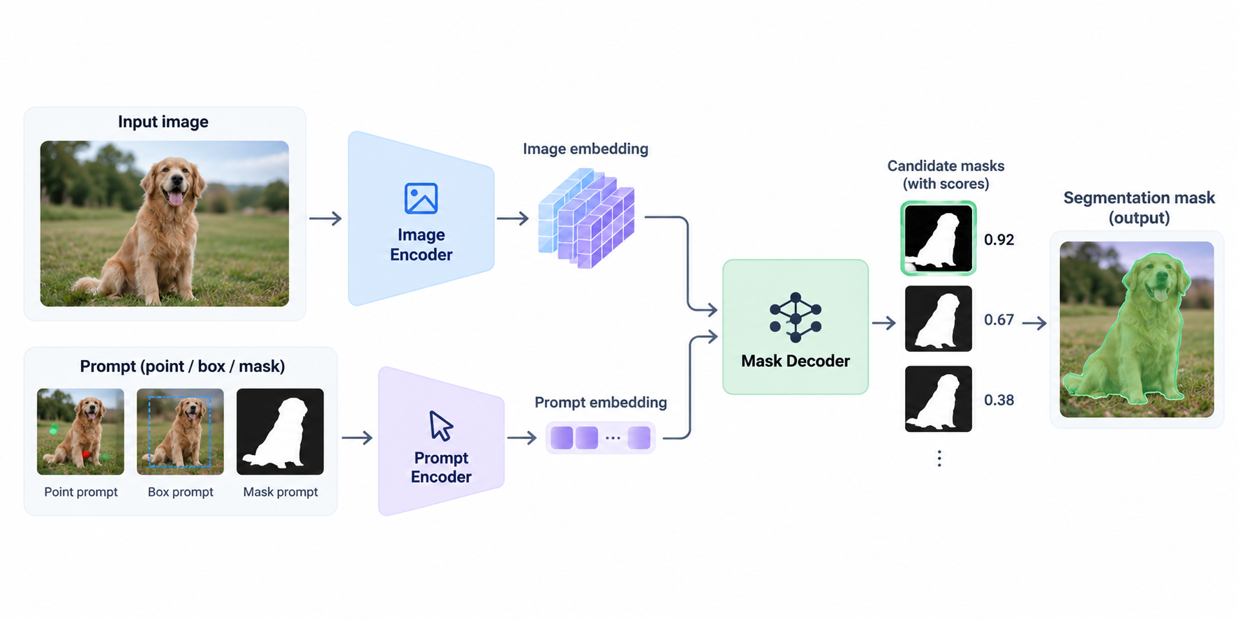Diagram of the original SAM architecture showing an image encoder and prompt encoder feeding into a mask decoder, which generates candidate segmentation masks with quality scores and produces the selected object mask.