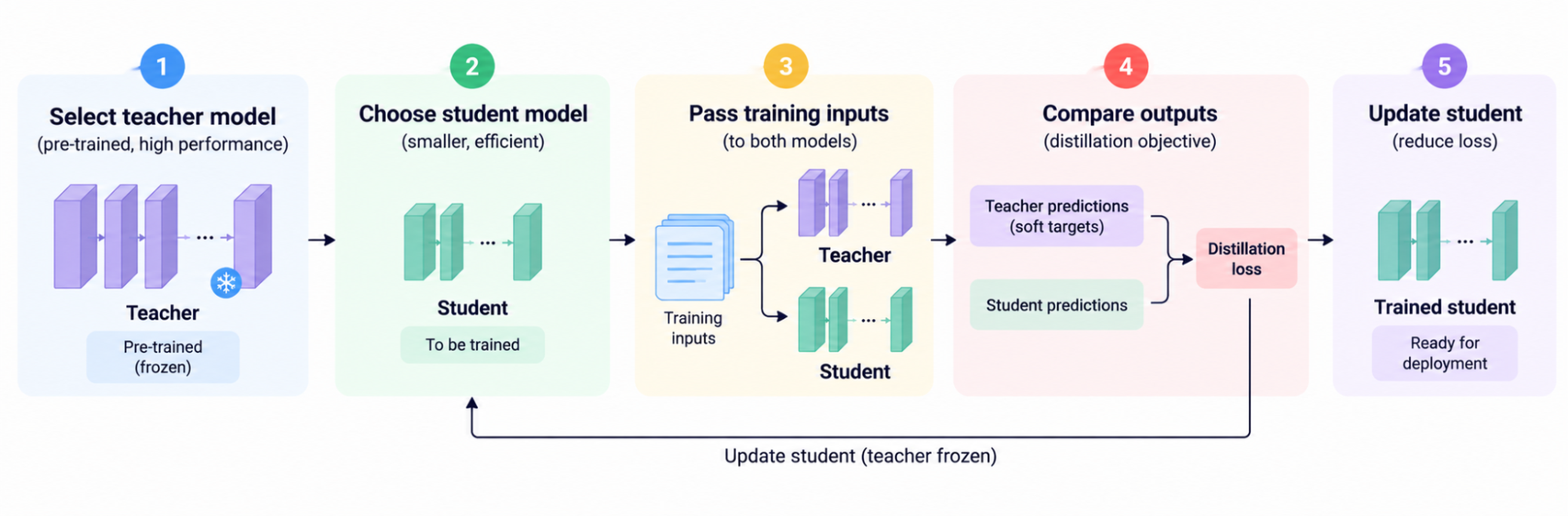 Five-step knowledge distillation flowchart: select a pre-trained teacher, choose a smaller student, pass training inputs to both models, compare their predictions using a distillation loss, and update the student while keeping the teacher frozen. The trained student is then ready for deployment.