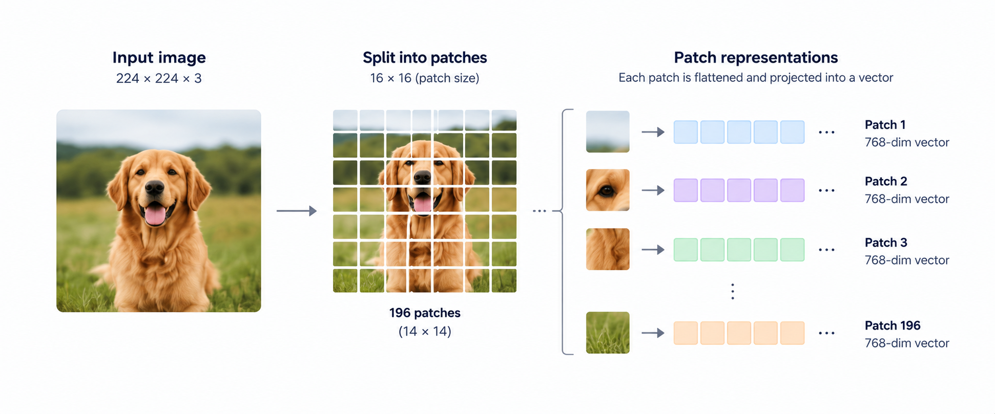 Input image divided into 196 patches, with each patch converted into a 768-dimensional embedding vector for processing by a Vision Transformer (ViT).