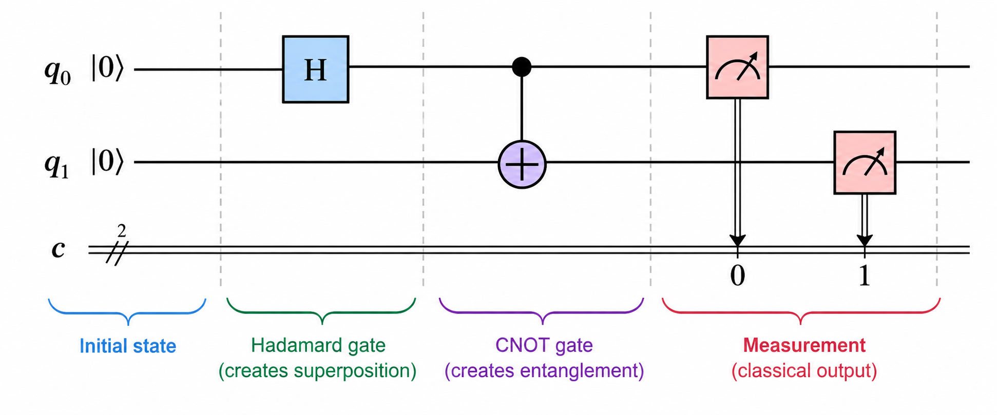 Quantum circuit diagram explained showing two qubits passing through a Hadamard gate, CNOT gate, and measurement, illustrating superposition, entanglement, and classical readout.
